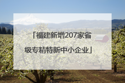福建新增207家省级专精特新中小企业