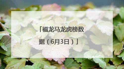 福龙马龙虎榜数据（6月3日）