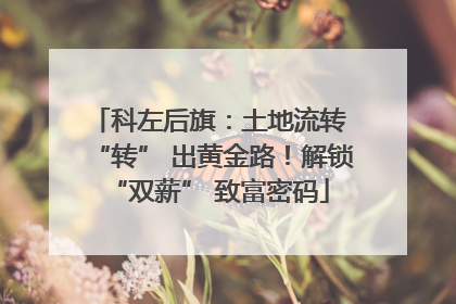 科左后旗：土地流转 “转” 出黄金路！解锁 “双薪” 致富密码