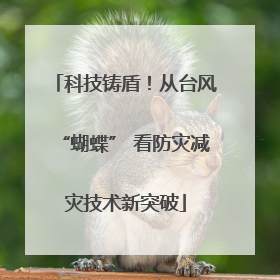 科技铸盾！从台风“蝴蝶” 看防灾减灾技术新突破