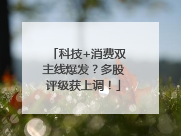 科技+消费双主线爆发？多股评级获上调！