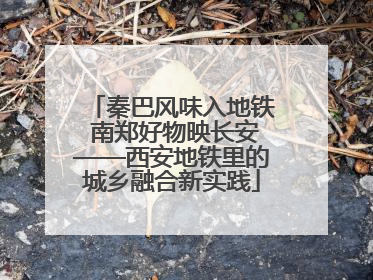秦巴风味入地铁 南郑好物映长安——西安地铁里的城乡融合新实践