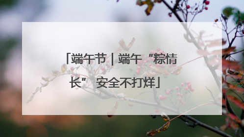 端午节｜端午“粽情长” 安全不打烊