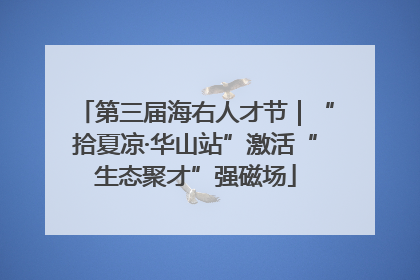 第三届海右人才节｜“拾夏凉·华山站”激活“生态聚才”强磁场