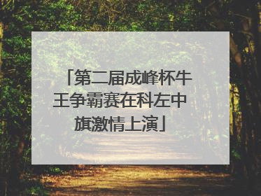 第二届成峰杯牛王争霸赛在科左中旗激情上演