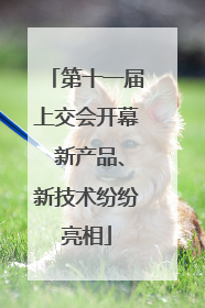 第十一届上交会开幕 新产品、新技术纷纷亮相