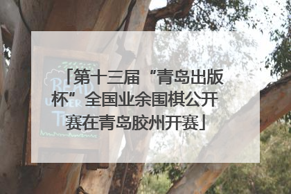 第十三届“青岛出版杯”全国业余围棋公开赛在青岛胶州开赛
