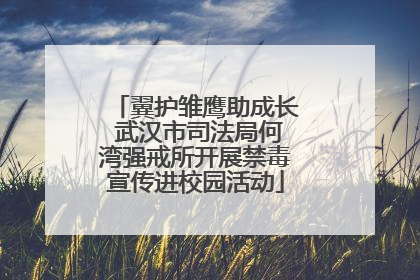 翼护雏鹰助成长 武汉市司法局何湾强戒所开展禁毒宣传进校园活动