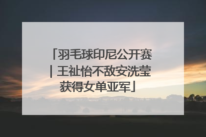 羽毛球印尼公开赛｜王祉怡不敌安洗莹 获得女单亚军