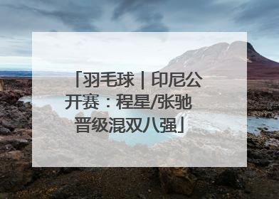 羽毛球｜印尼公开赛：程星/张驰晋级混双八强