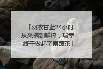 羽衣甘蓝24小时从采摘到鲜榨，瑞幸终于做起了果蔬茶