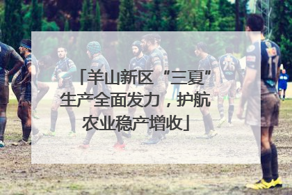 羊山新区“三夏”生产全面发力，护航农业稳产增收