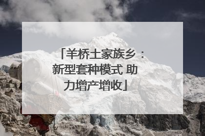羊桥土家族乡：新型套种模式 助力增产增收