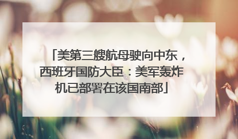 美第三艘航母驶向中东，西班牙国防大臣：美军轰炸机已部署在该国南部