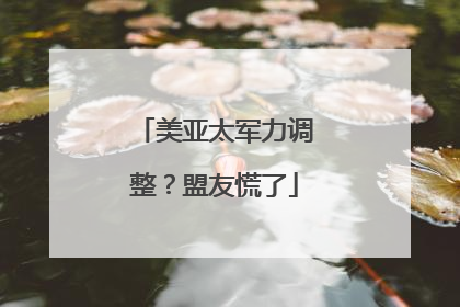美亚太军力调整？盟友慌了
