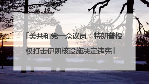美共和党一众议员：特朗普授权打击伊朗核设施决定违宪