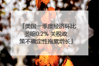 美国一季度经济环比萎缩0.2% 关税政策不确定性拖累增长