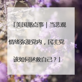 美国那点事｜当悲观情绪弥漫党内，民主党该如何拯救自己？