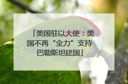 美国驻以大使：美国不再“全力”支持巴勒斯坦建国