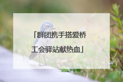 群团携手搭爱桥 工会驿站献热血