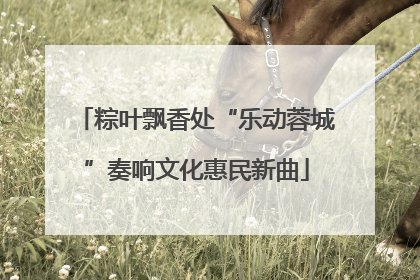 粽叶飘香处“乐动蓉城”奏响文化惠民新曲