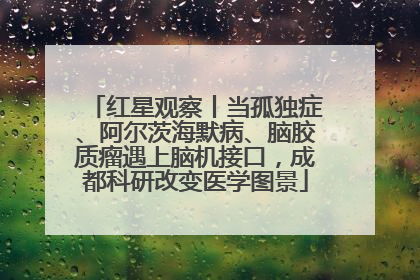 红星观察丨当孤独症、阿尔茨海默病、脑胶质瘤遇上脑机接口，成都科研改变医学图景