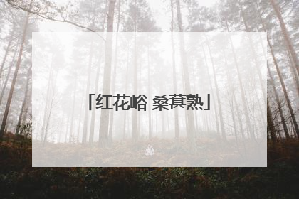 红花峪 桑葚熟