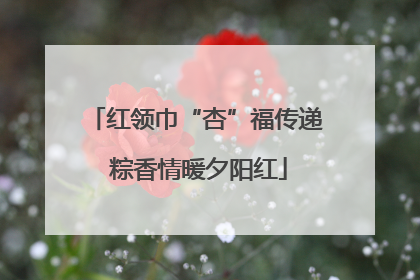 红领巾“杏”福传递 粽香情暖夕阳红