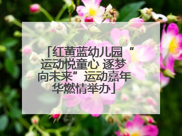 红黄蓝幼儿园“运动悦童心 逐梦向未来”运动嘉年华燃情举办