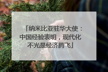 纳米比亚驻华大使：中国经验表明，现代化不光是经济腾飞