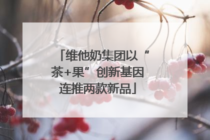维他奶集团以“茶+果”创新基因连推两款新品