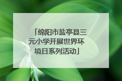 绵阳市盐亭县三元小学开展世界环境日系列活动