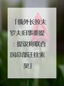俄外长拉夫罗夫旧事重提：提议将联合国总部迁往索契