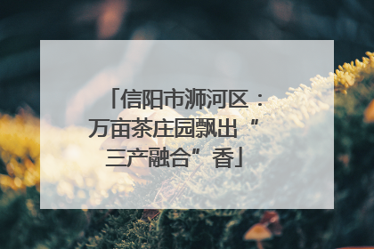 信阳市浉河区：万亩茶庄园飘出“三产融合”香