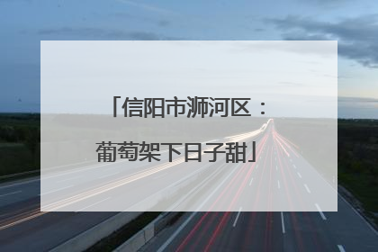 信阳市浉河区：葡萄架下日子甜