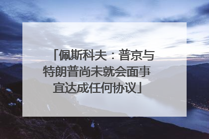佩斯科夫：普京与特朗普尚未就会面事宜达成任何协议