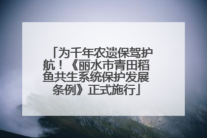 为千年农遗保驾护航！《丽水市青田稻鱼共生系统保护发展条例》正式施行