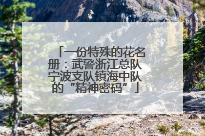 一份特殊的花名册：武警浙江总队宁波支队镇海中队的“精神密码”