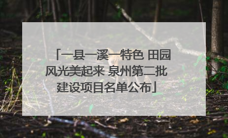 一县一溪一特色 田园风光美起来 泉州第二批建设项目名单公布