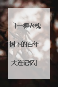 一棵老槐树下的百年大连记忆