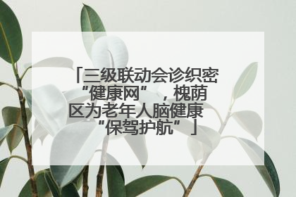 三级联动会诊织密 “健康网”，槐荫区为老年人脑健康 “保驾护航”