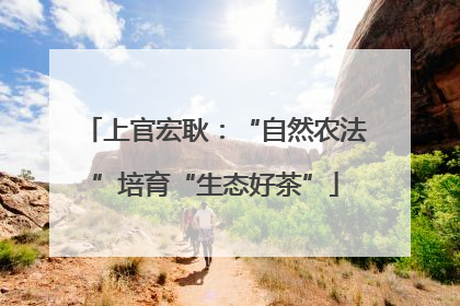 上官宏耿：“自然农法”培育“生态好茶”