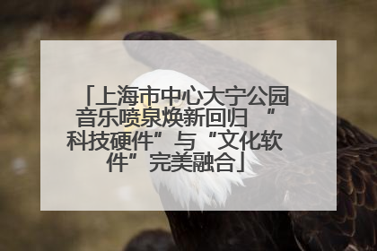 上海市中心大宁公园音乐喷泉焕新回归 “科技硬件”与“文化软件”完美融合