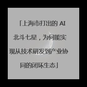 上海市打出的 AI 北斗七星，为何能实现从技术研发到产业协同的闭环生态