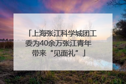 上海张江科学城团工委为40余万张江青年带来“见面礼”