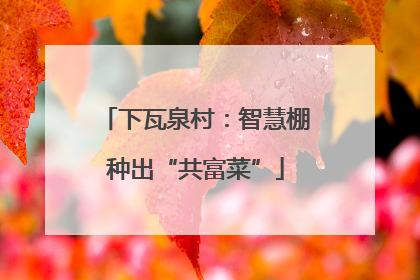 下瓦泉村：智慧棚种出“共富菜”