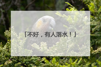 不好，有人落水！