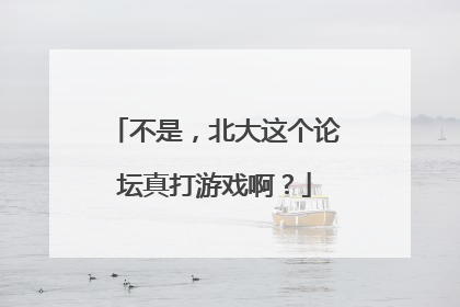 不是，北大这个论坛真打游戏啊？