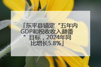东平县锚定“五年内GDP和税收收入翻番”目标，2024年同比增长5.8%