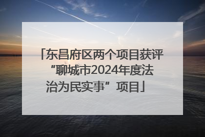 东昌府区两个项目获评“聊城市2024年度法治为民实事”项目